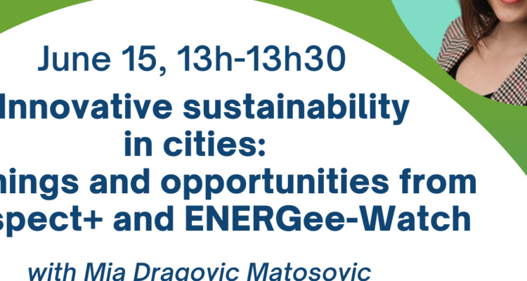 Innovative sustainability in cities and regions – seminar IEECP